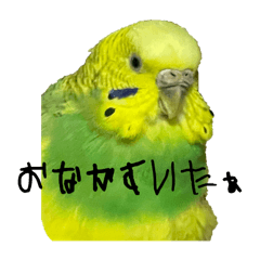 kana_20240205110905