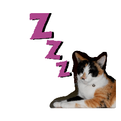 yamtom_20240205122040