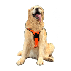 sayaka_20240205011016