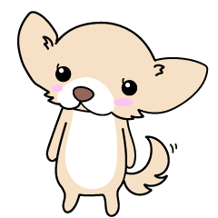 Fluffy_Chihuahua-chan