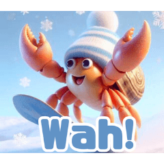 Snowy Hermit Crab Fun:Indonesian
