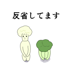 Brassicaceae brothers
