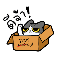 Bi-color Grey Cat [INDY Cosplay]
