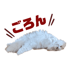 mokohime no nichijyo