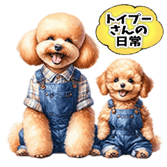 Toy poodle's daily sticker