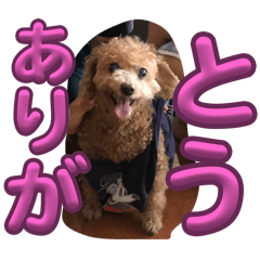 Rilyuu_20240205164241