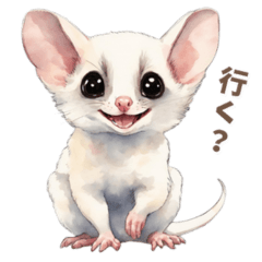 white flying squirrel daily life