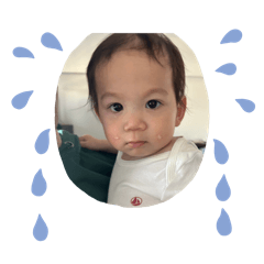 sakura_20240205201740