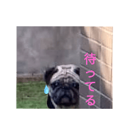 gon_20240205232430