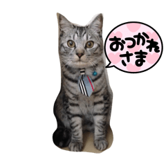 chocoha_7_20240206134843