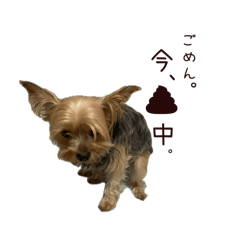 Isaku 20240206025009 – Line Stickers 