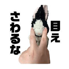 chisa_20240206013606