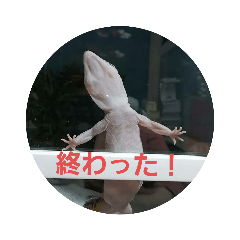 sayaka_20240206131247