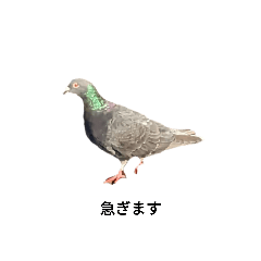 Daily_20240205162826