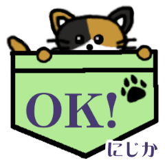 Nijika's Pocket Cat's