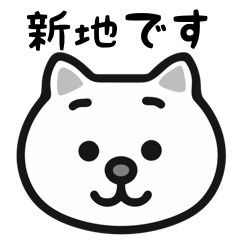 Shinchi cat stickers