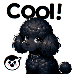 Cheerful Black Toy Poodle 2