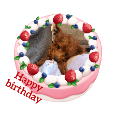 咪醬（五）節慶篇