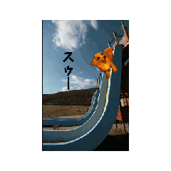 kana_20240206200749