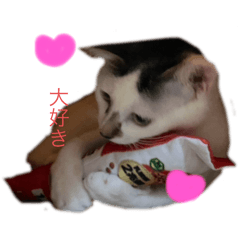 yuri_20240206223621