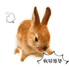 omochi__1123
