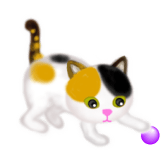 [Moving] Heartwarming calico cat sticker