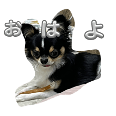 TON_20240206210253