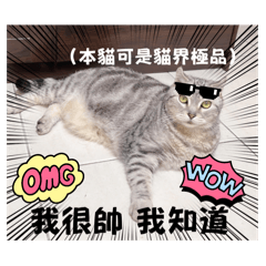 最口愛擔當陳胖仔兼貓老大