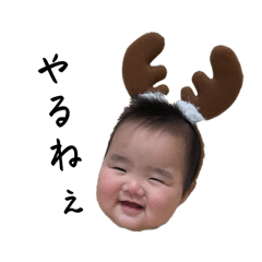 Erichoce_20240206235129