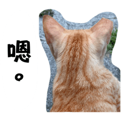 貓咪們の日常用語-黑輪小橘篇