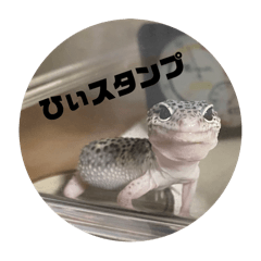 nao_20240207124855