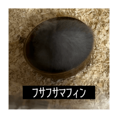 ジーニアスまさかり2