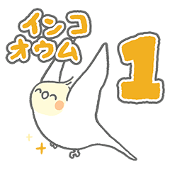 round and cute, dull-colored birds 1