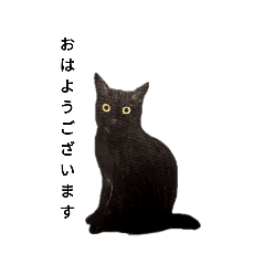 福を招く黒猫