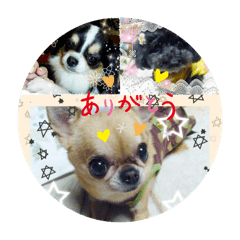 yuka_20240206232134