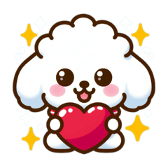 WAO! cute toy-poodle