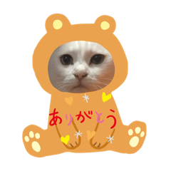 nao_20240207185721