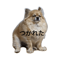 kana_20240207200321