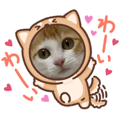 yuri_20240207231051