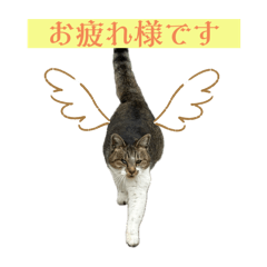 kana_20240207225808