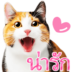 สติกเกอร์รูปแมวผ้าดิบน่ารักเวอร์ชั่นไทย