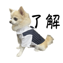 sakura_20240208133605