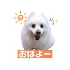 min-nosuke_20240208050402