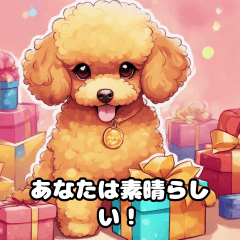 Cheerful Toy Poodle Dog