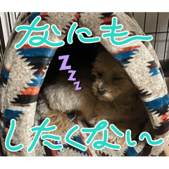 Sakura_20240208134530