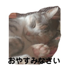 yuri_20240208112722
