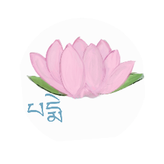 Flower Lotus 1