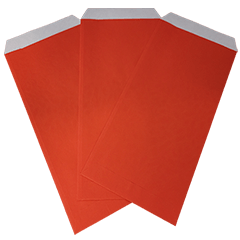 Festival Series : Red Envelope (2024) #2