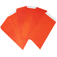 Festival Series : Red Envelope (2024) #3