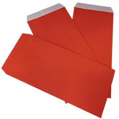 Festival Series : Red Envelope (2024) #1